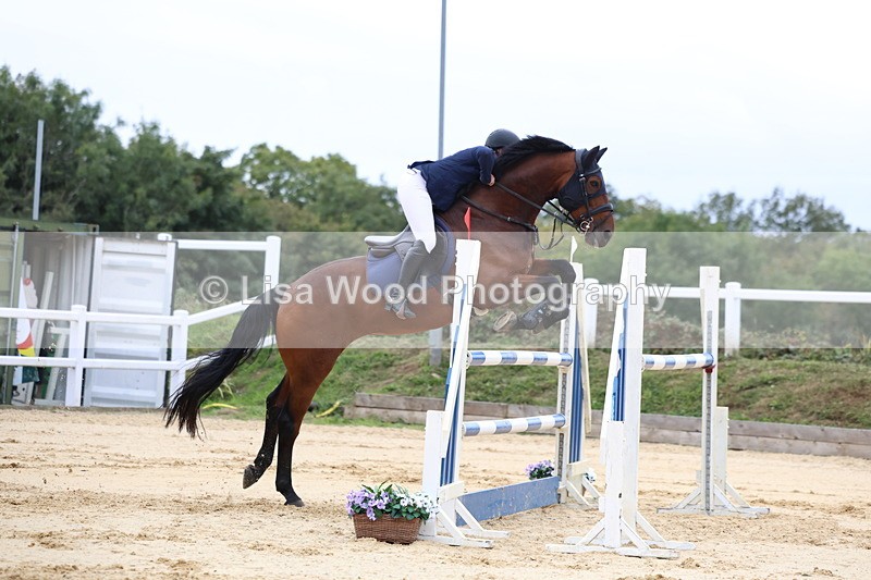 3E7A3436 - Class 9: Senior Foxhunter/1.20 open