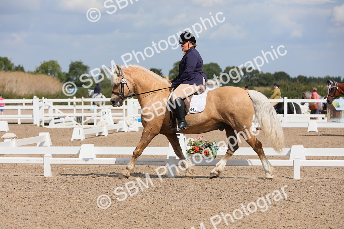 SBM_04017 - Class 31 Prelim 1