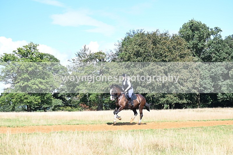 DSC_0164 - Time at Statue 15:58 to 16:05