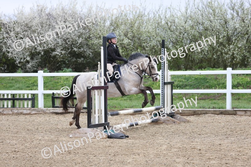 20260403-0342 - Class 2 - 50cm