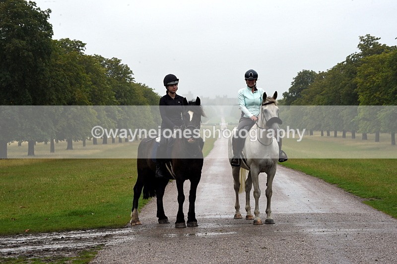 TT3_8374 - Time at Crossing 10:16 to 11:38