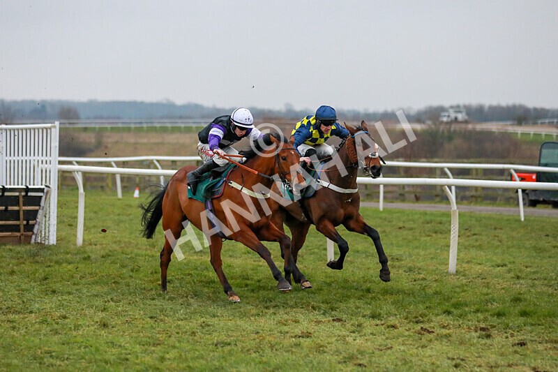 310125-Race 7-Balcomie Breeze-4721