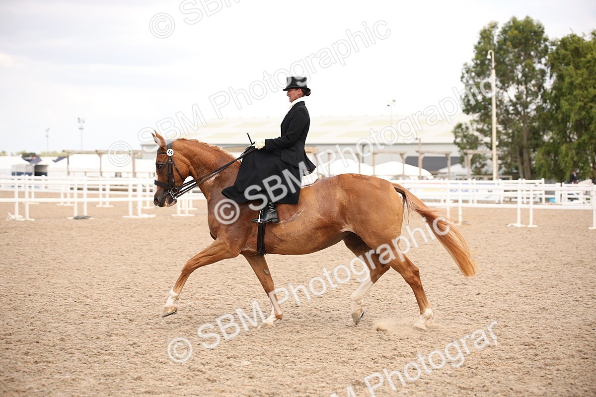 SBM_06643 - Class 23 SSA Classical