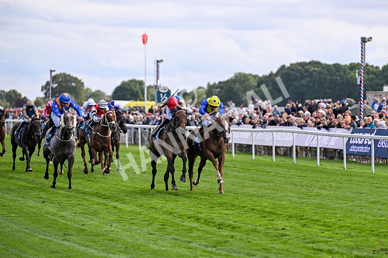210826-Race 5-Plage De Havre-6739 - Race 5 16.10pm Assured Data Protection Handicap