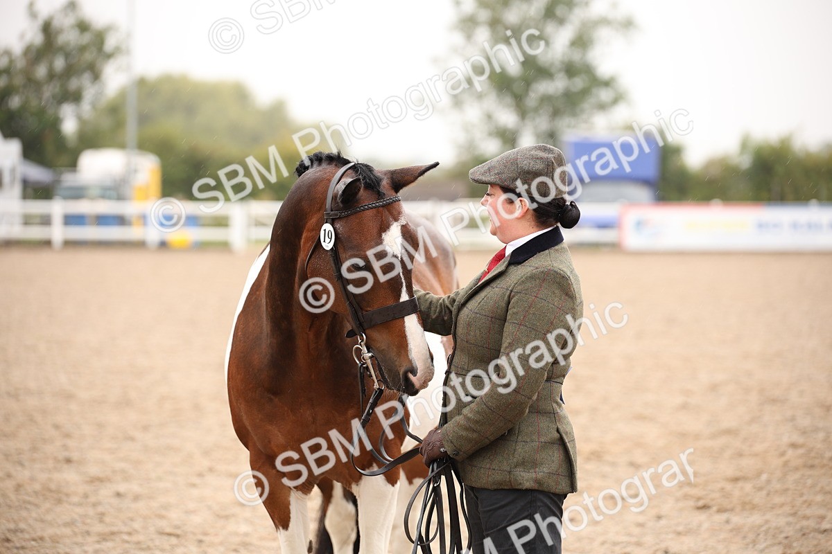 SBM_20221 - Class 703 - IH  Coloured