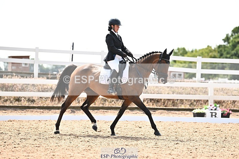 250815-131856-01421 - 005-Patricia.HaskinsGaelic.Surprise