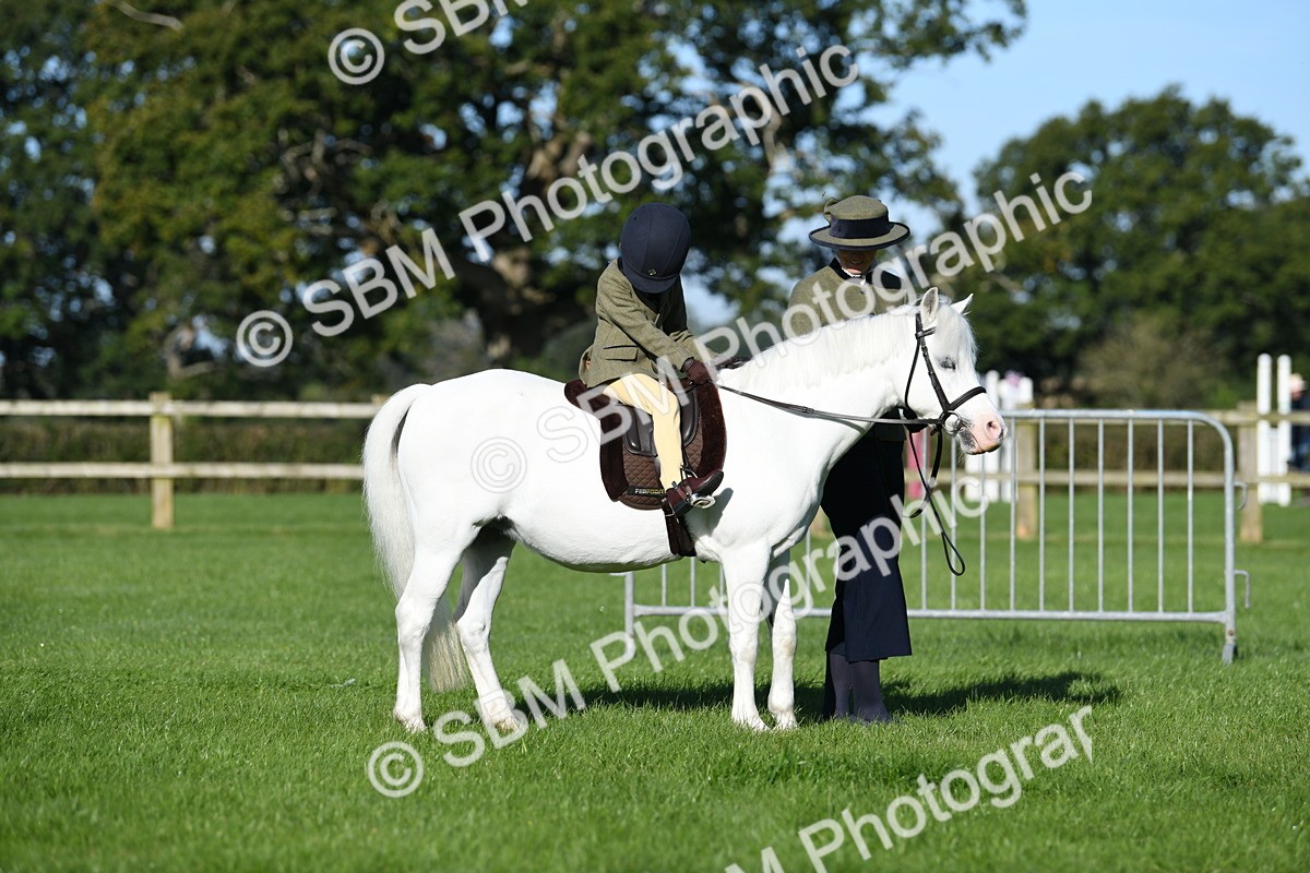 SBM_35377 - S17 - Condition & Turnout - Lead Rein