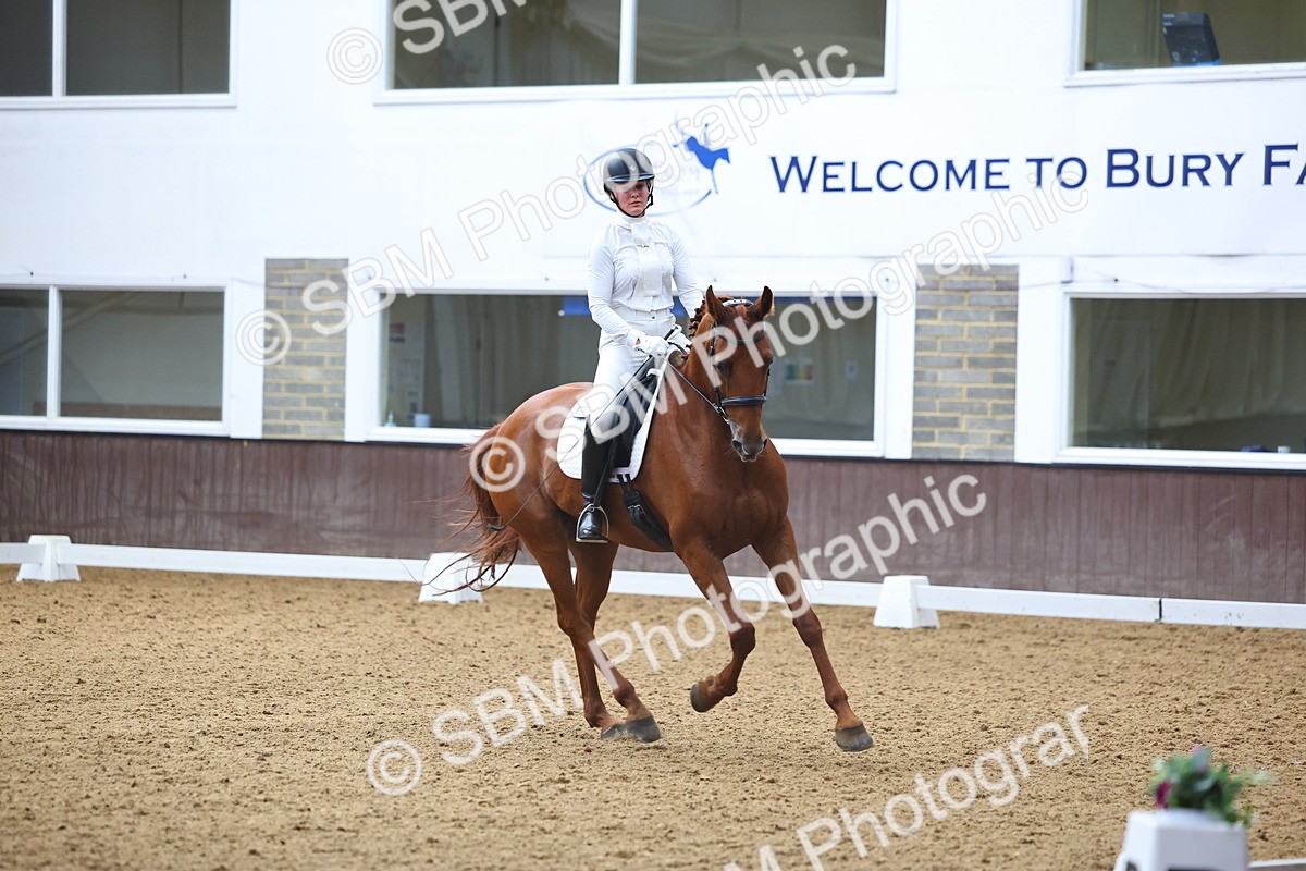 SBM_021729 - Class 14 - N6