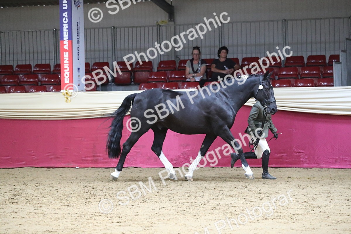 SBM_06376 - Class 9R Regional- IH Pre Vet