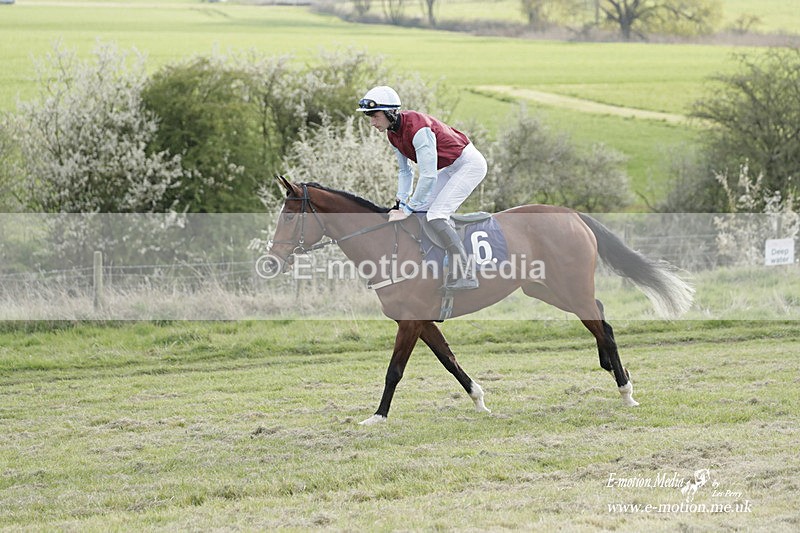 PtP 080423 921 - Dingley Races The Woodland Pytchley Hunt PtP 08/04/23