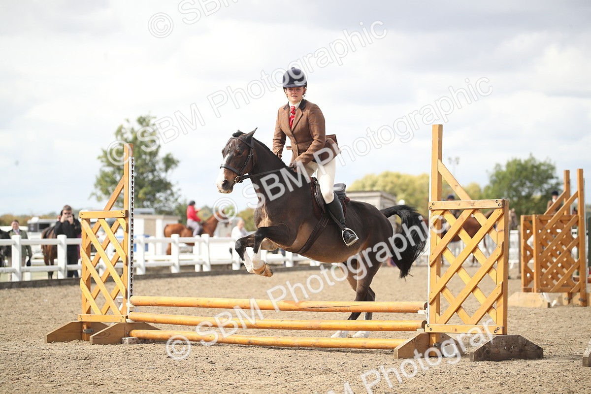 SBM_15266 - Class 506b - Working Veteran - 50cm (20+)