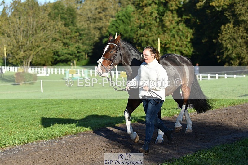 231022-094200-21982 - 444-REDHILL.SKANDEL-Emma.Stokes-TrotUp+SJ