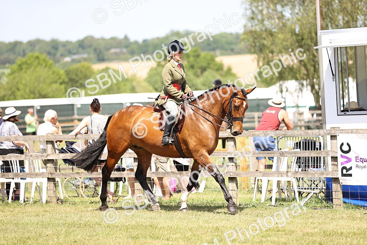 SBM_16213 - Class 79-80 - LIHS BSHA Rising Star Ridden Hunter