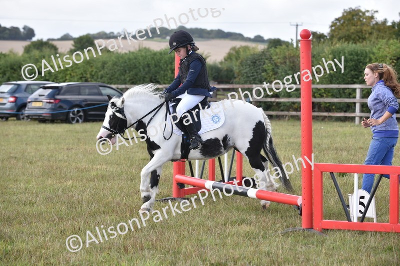 20250831-0475 - Class 7 - Absolute Novice 35cm