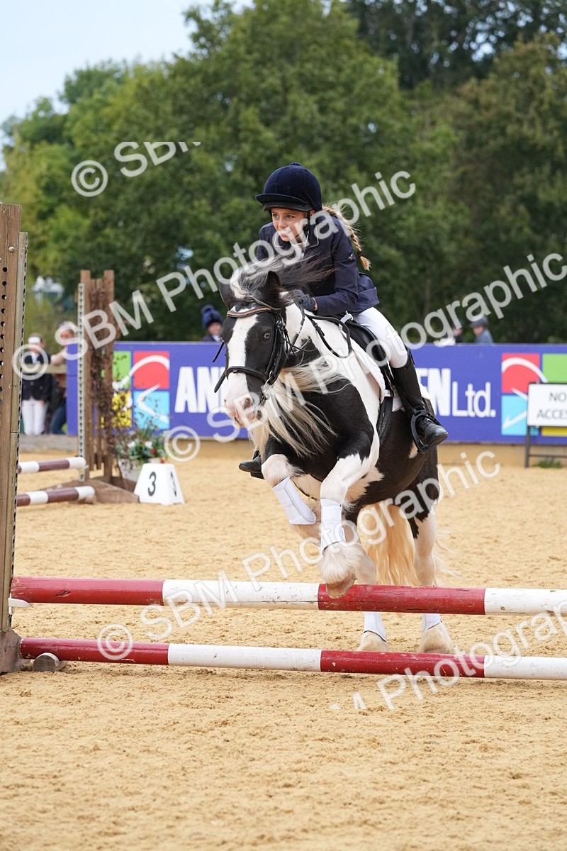 SBM_71723 - J3 - Mini Tour Junior Pony 40cm Championship