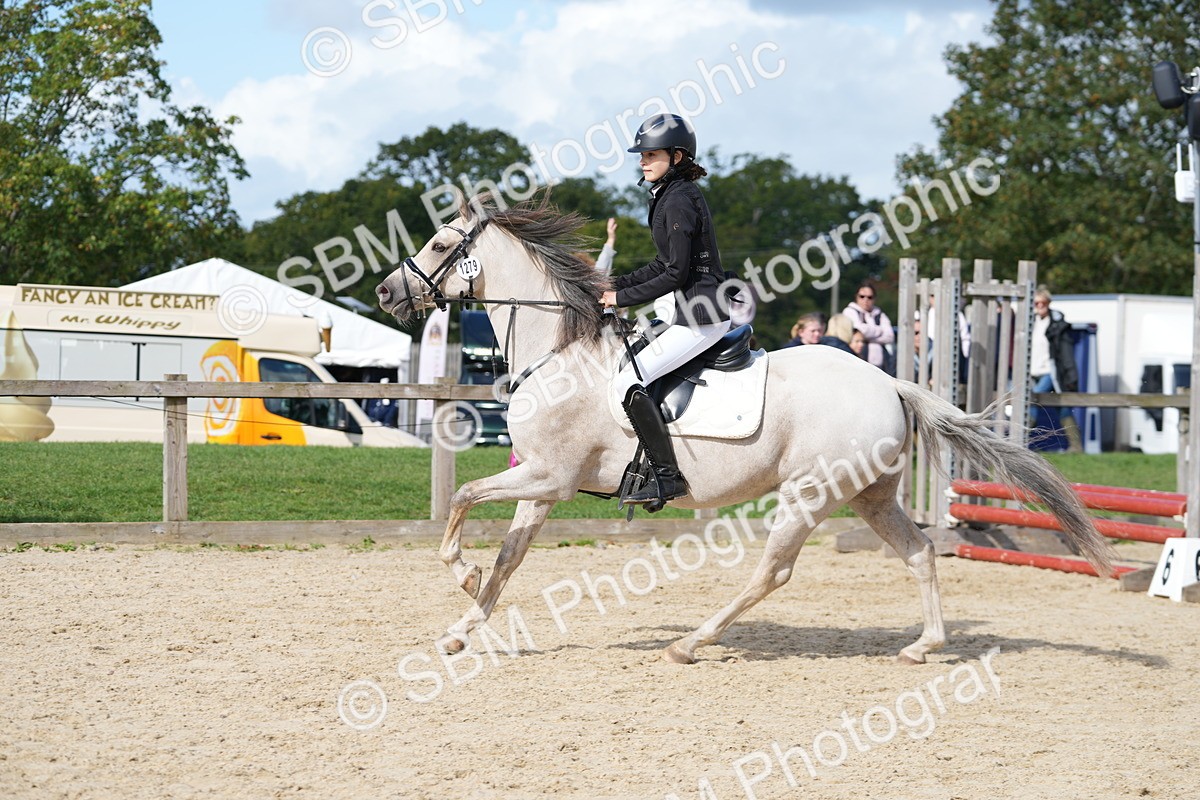 SBM_17852 - J58 - Clear Round 50cm