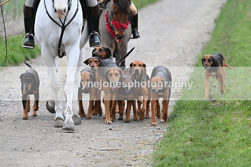 WJ7_1198 - Walk Home