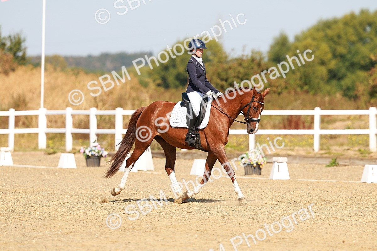 SBM_017632 - Class 9 - N5 Bronze 10.33.11.36