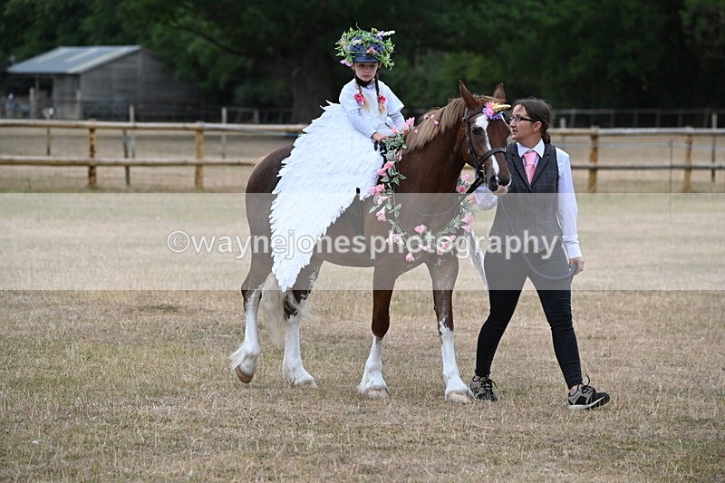 WJ6_8589 - Class 11 Fancy Dress