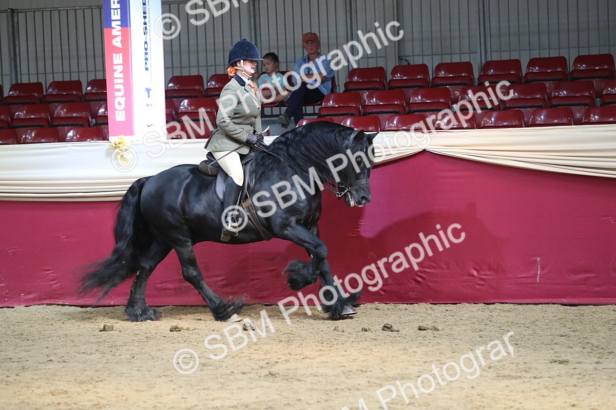 SBM_08309 - Class 11R Regional Ridden Veteran