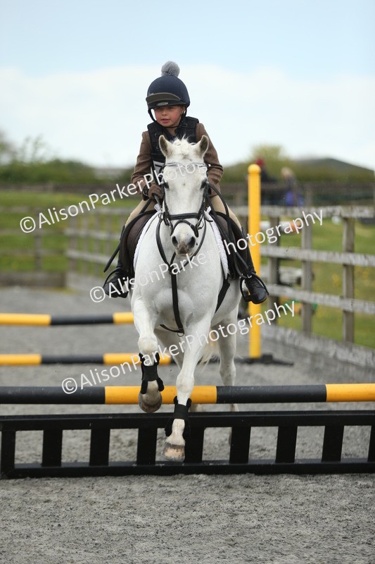 20260412-1869 - Show Jumping