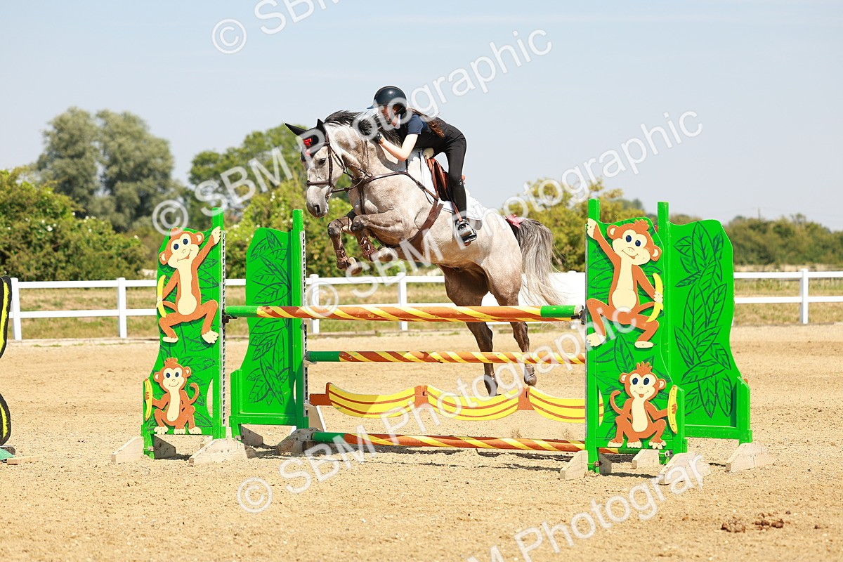 SBM_002120 - Class 5 - Senior Foxhunter - 1.20m