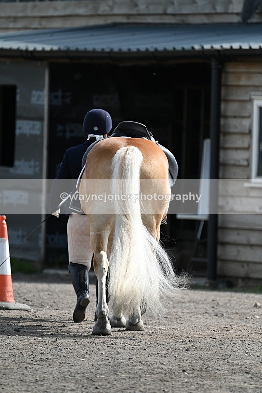 WJ7_8044 - Time 10:11 to 10:27