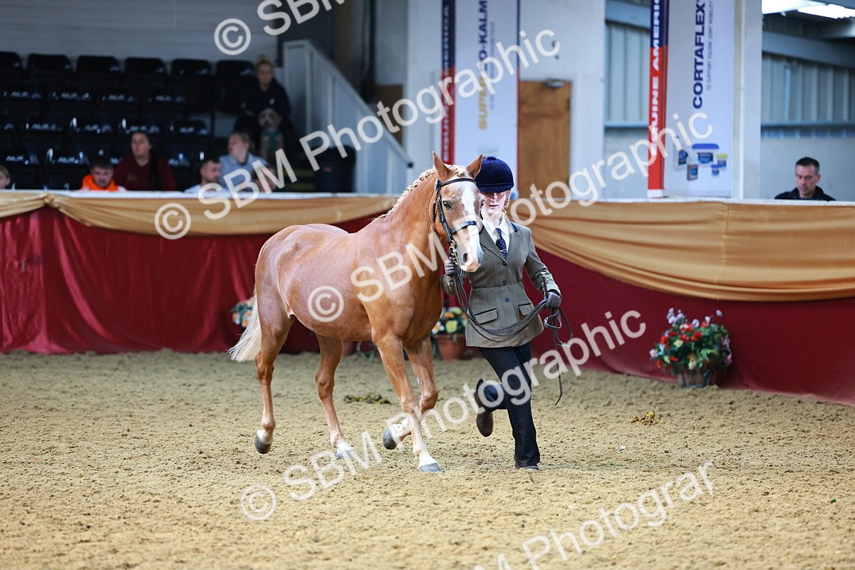 SBM_22312 - Class 902 - Supreme Final - IH Diamond