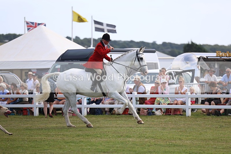 3E7A0228 - Parade of Hounds