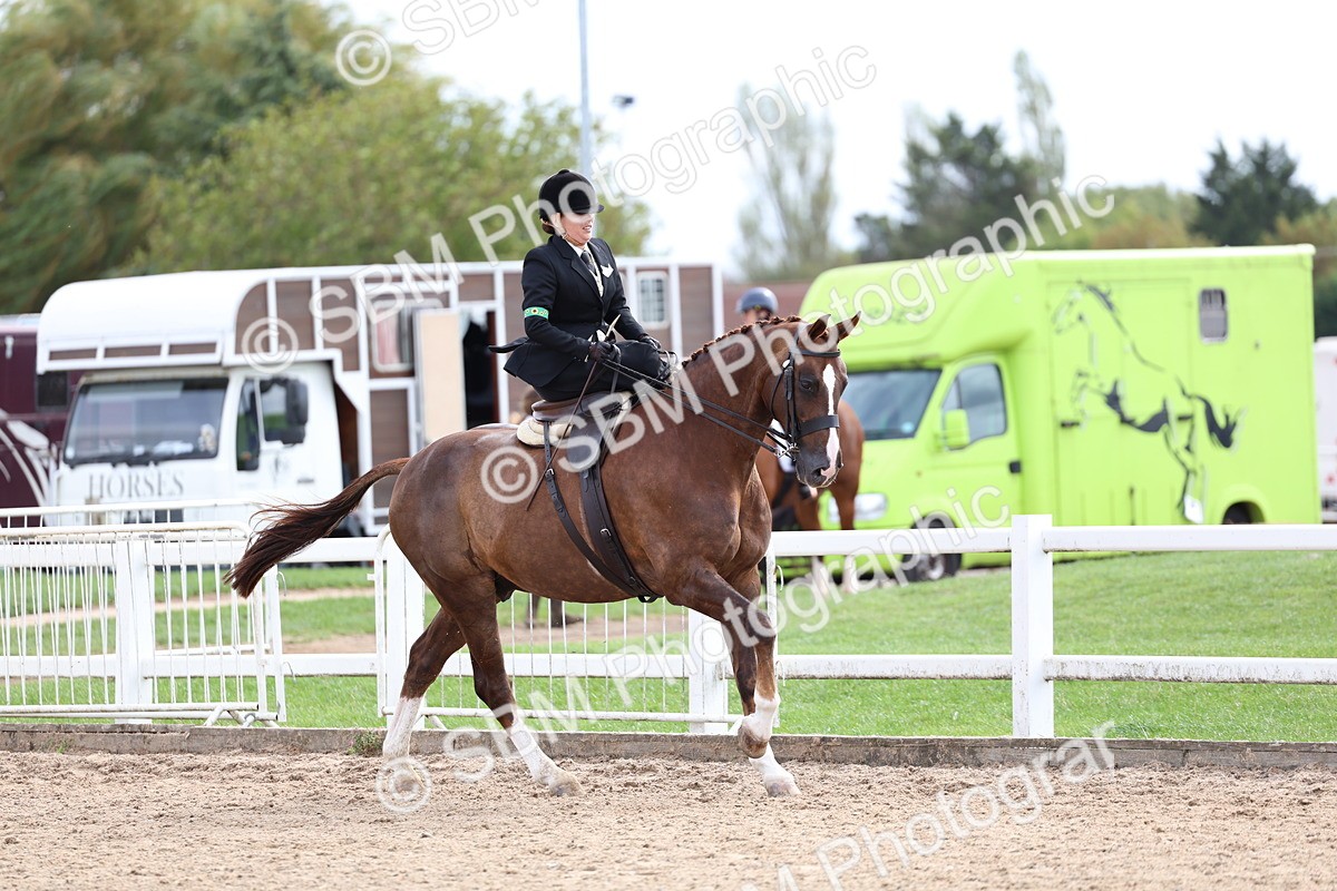 SBM_03441 - Class 24 - SSA Concours d'elegance (any age)
