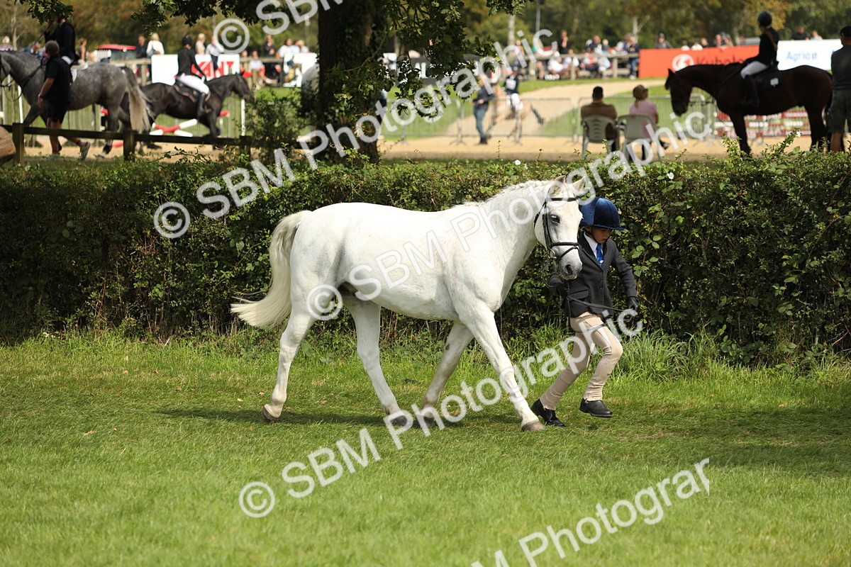 SBM_67709 - S39 - Junior Handler 8  Years & Under