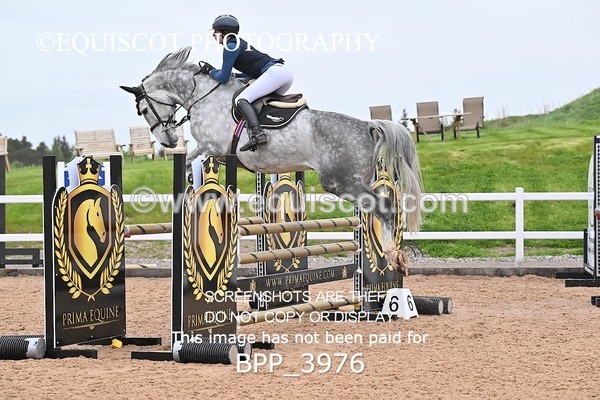 BPP_3976 - CLASS 16 SUN Senior Newcomers/1.10m Open