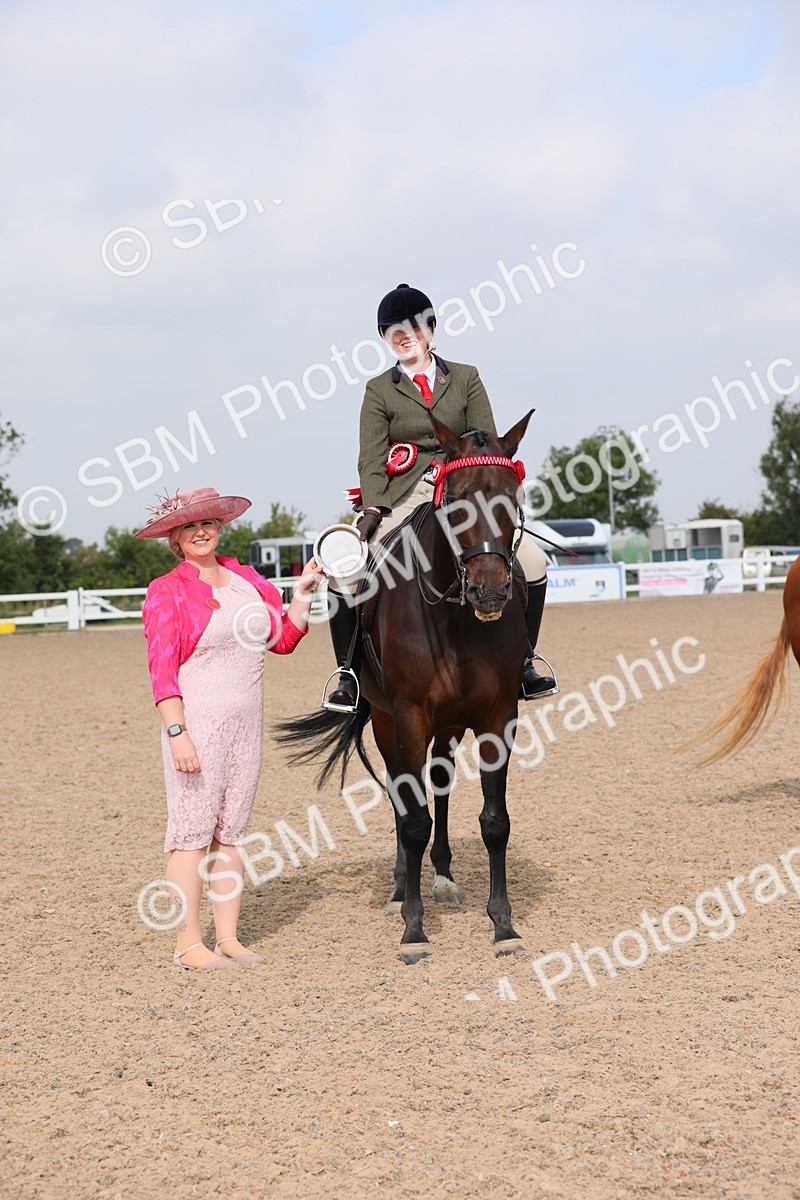 SBM_11477 - Class 305 Ridden Foreign Breeds- Pure Bred