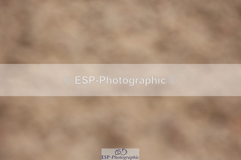 250621-123053-09005 - Cls 37 - Freestyle Adv Medium