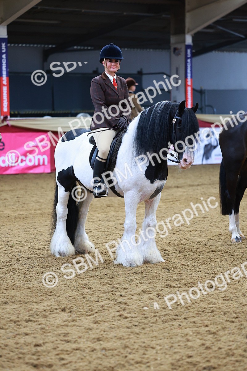 SBM_09829 - Class 102 - HOYS Veteran Qualifier - Ridden Veteran