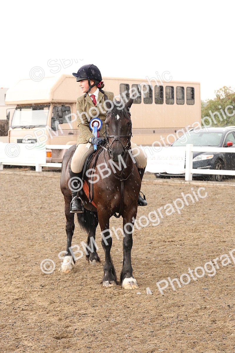 SBM_07602 - Class 59b -  Style & Performance - 80cm (20+)