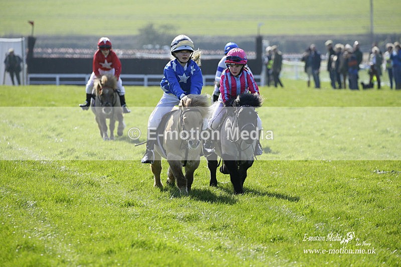 PtP 190322 7 - Wilton Hunt PtP Milborne St Andrew 19/03/22