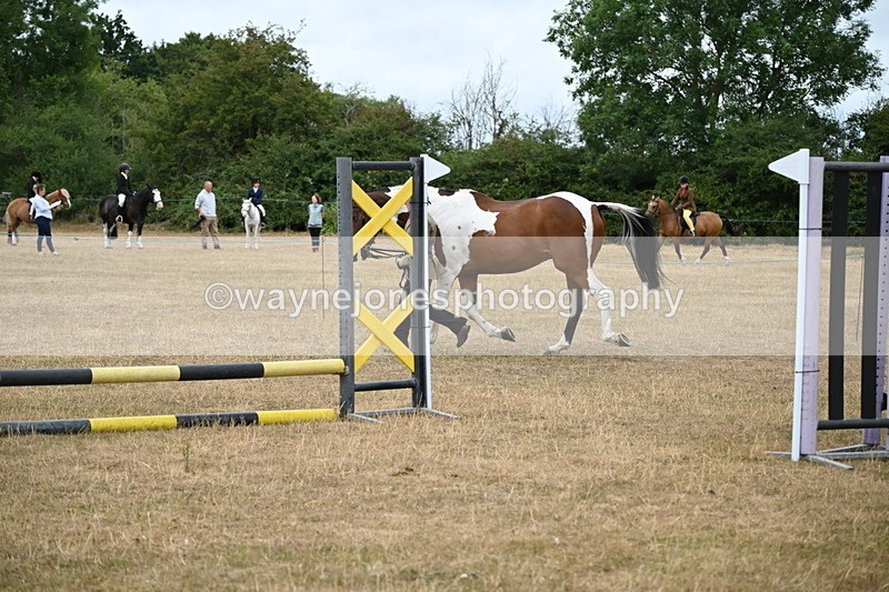 WJ6_8170 - Class 10 Coloured in Hand