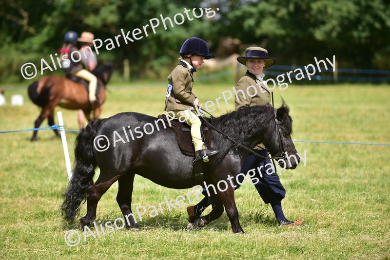 20260614-1187 - Class 11a - Lead Rein Pony (Unplaited)