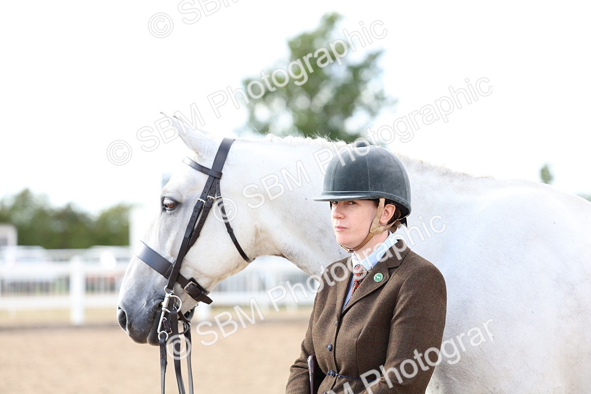 SBM_18755 - Class 317 - IH Pure Bred Horse-Pony