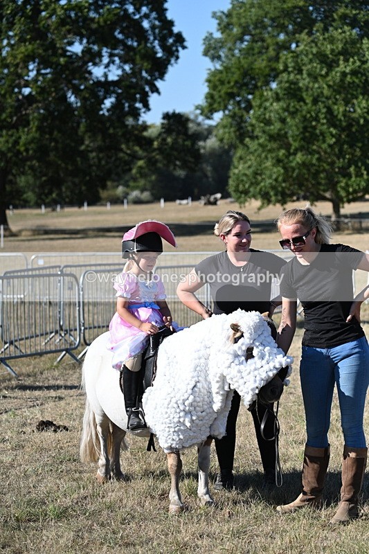WJ7_2746 - Class 45 Fancy Dress (My Fav)