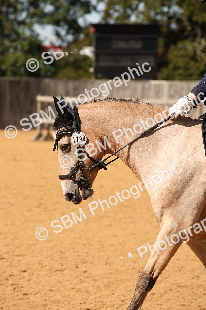 SBM_24153 - D5 - Small Tour Championship - Intro C