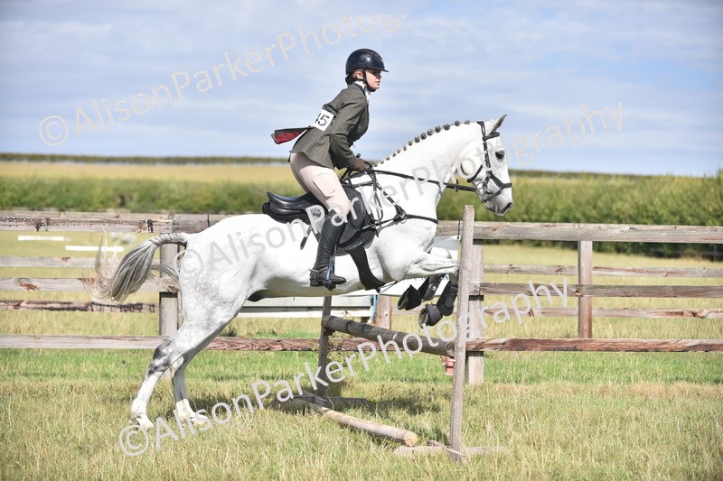 20260906-2691 - Class 13 - Working Hunter Horse or Pony
