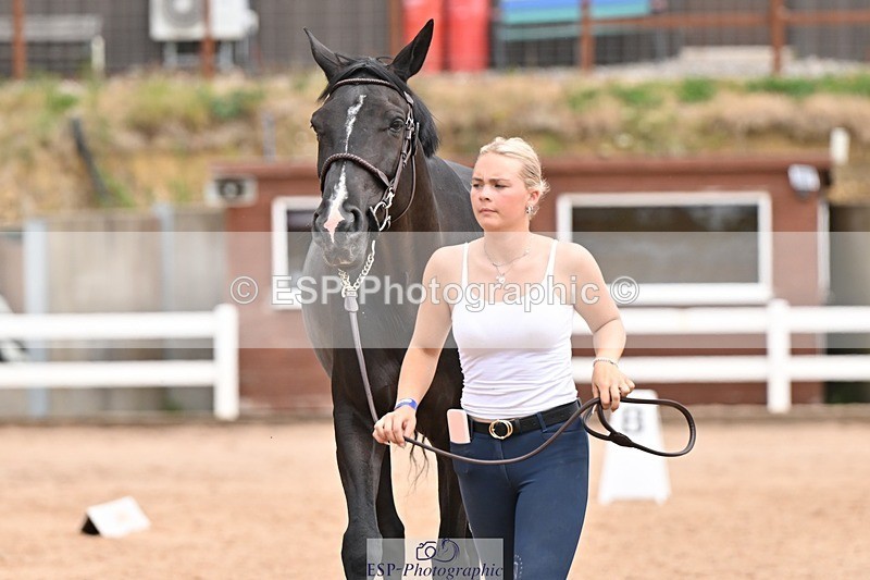 250716-144404-01340 - Trot Up 2.30 to 3.30