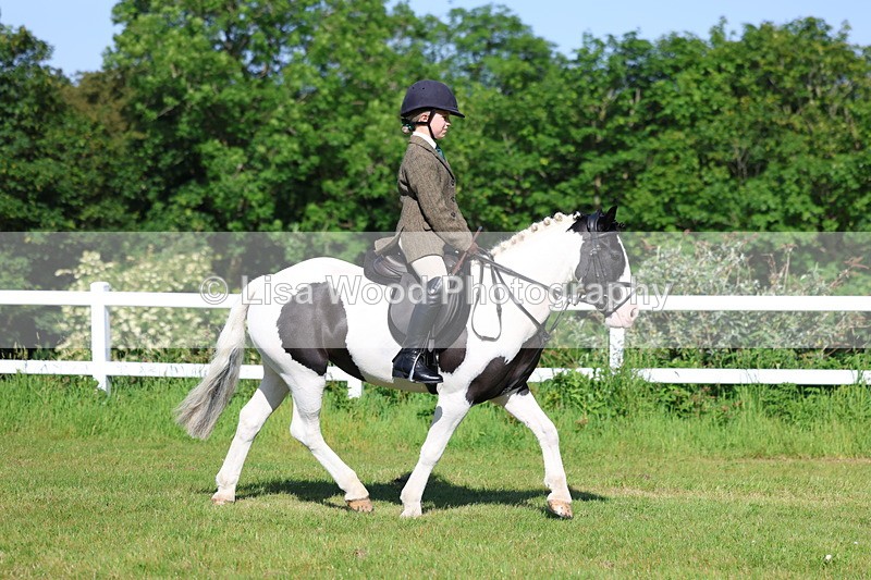 3E7A5958 - Class 27: Novice Working Hunter Pony