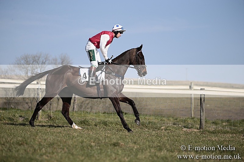 PtP 240218 207 - Vine & Craven Hunt Point-to-Point Barbury racecourse 24/02/18