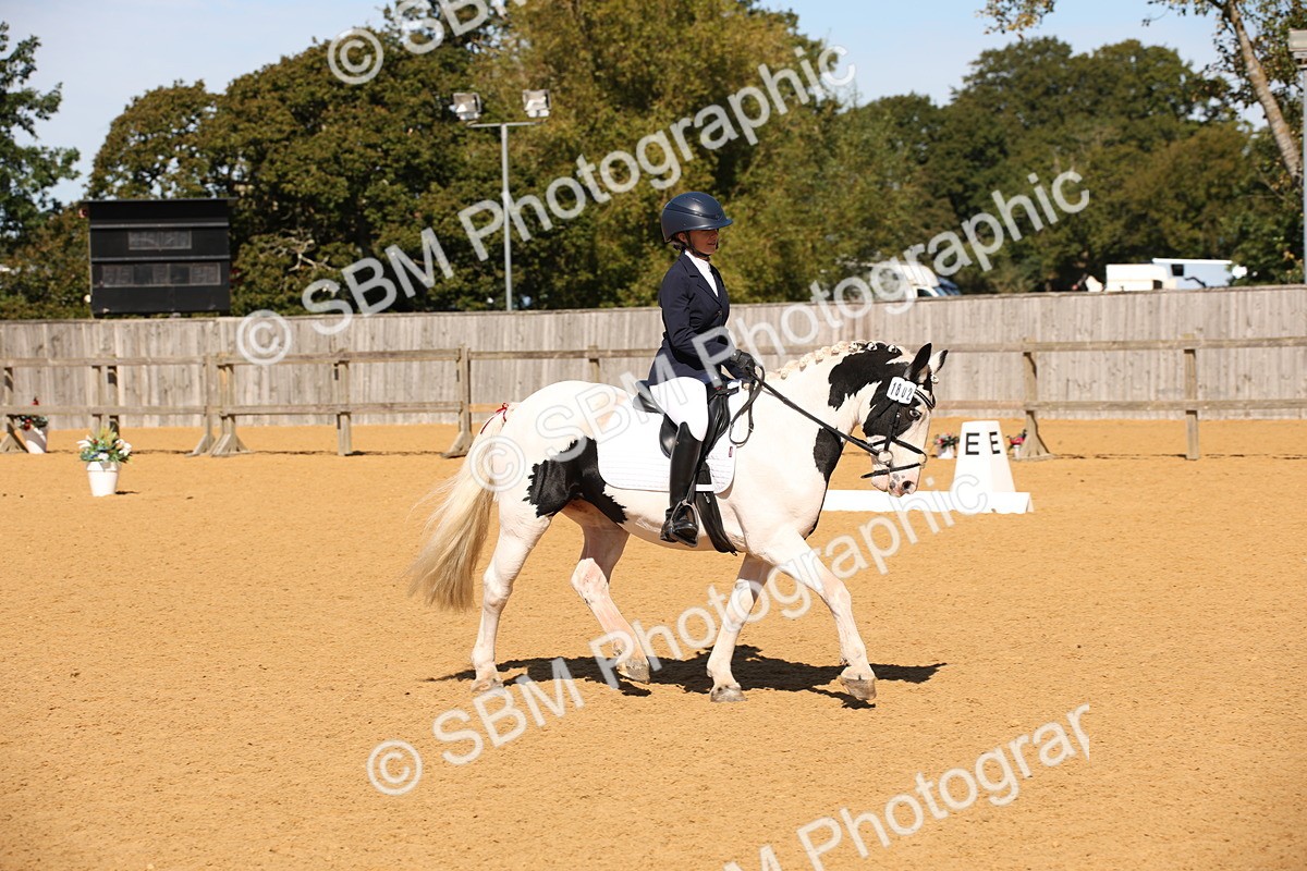 SBM_21641 - D5 - Small Tour Championship - Intro C