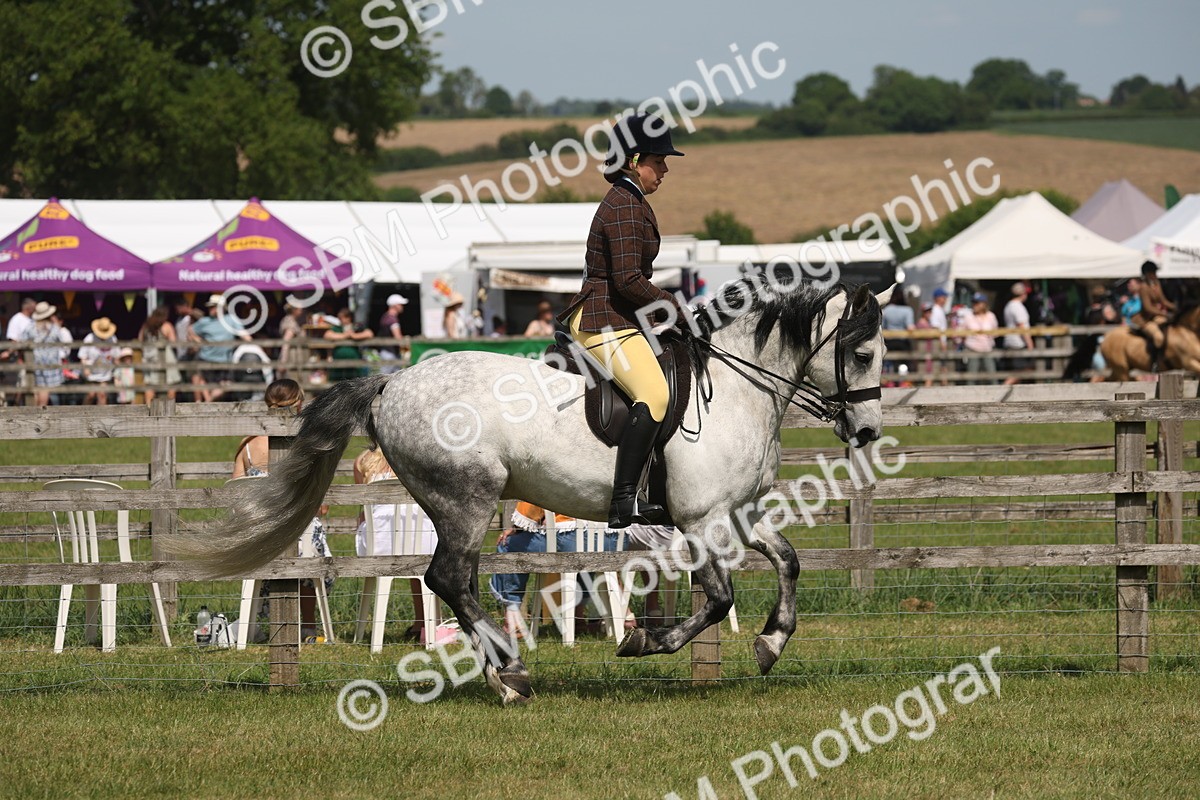 SBM_07593 - Class 26-30 - Mountain and Moorland Ridden