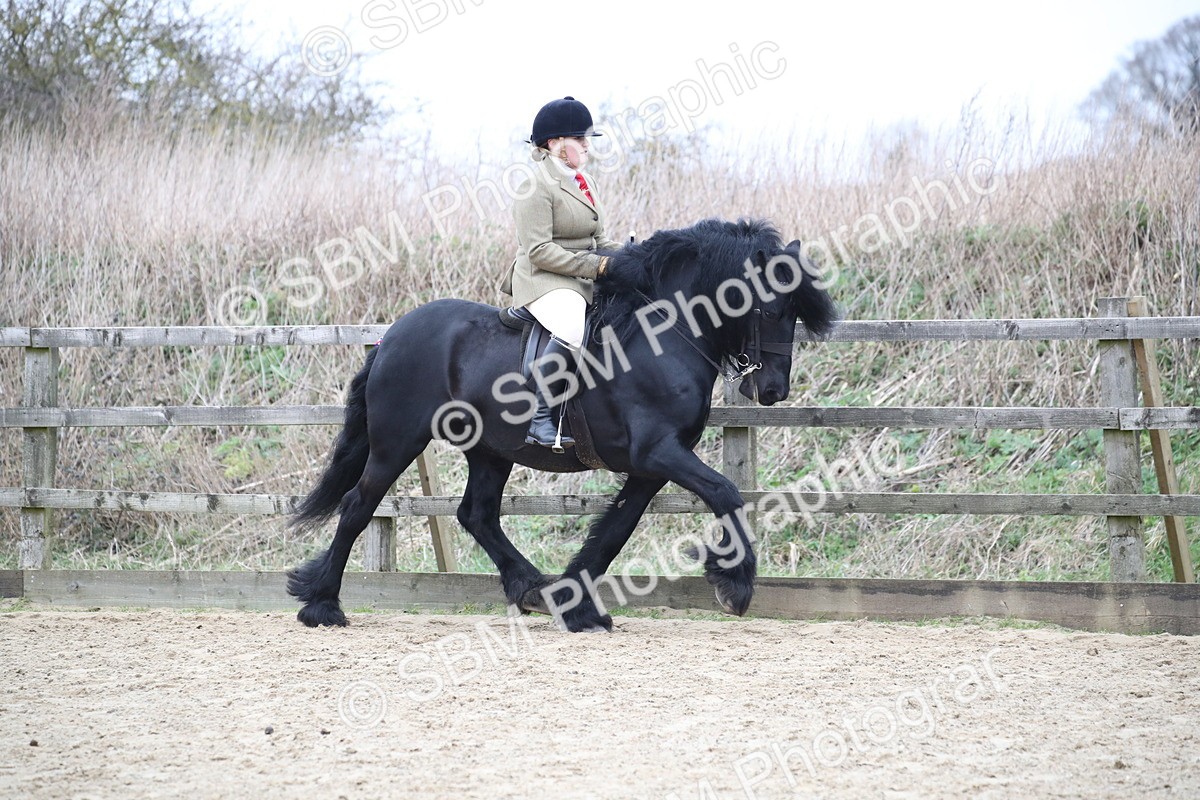 SBM_006290 - Class 10-13 - RIHS Small Large Breeds