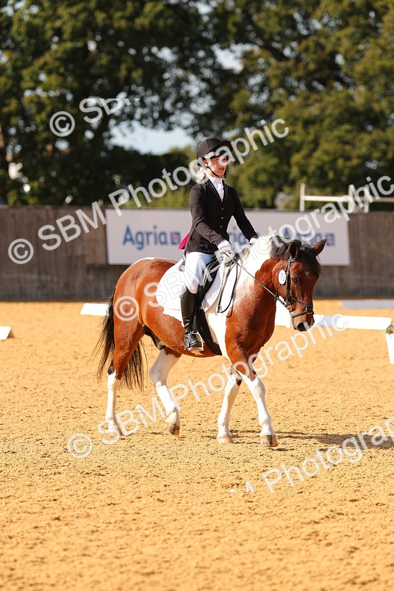 SBM_48413 - D6 - Small Tour Championship - Intro C